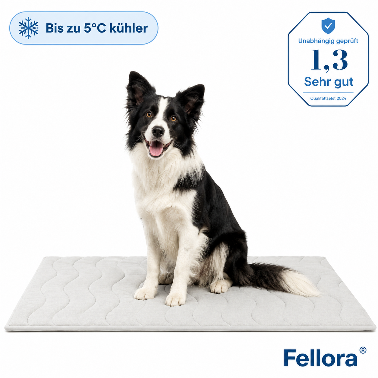 FelliCool - Die erste Kühlmatte die wirklich funktioniert